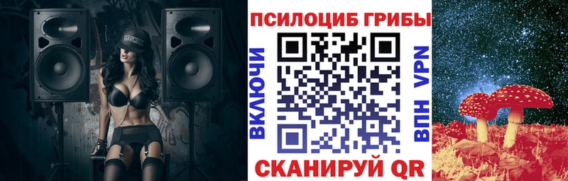 Псилоцибиновые грибы мухоморы  наркота  Северобайкальск 